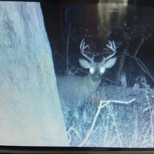 Meet your Posher, Kenneth